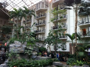 The "atrium" rooms overlook gorgeous atriums